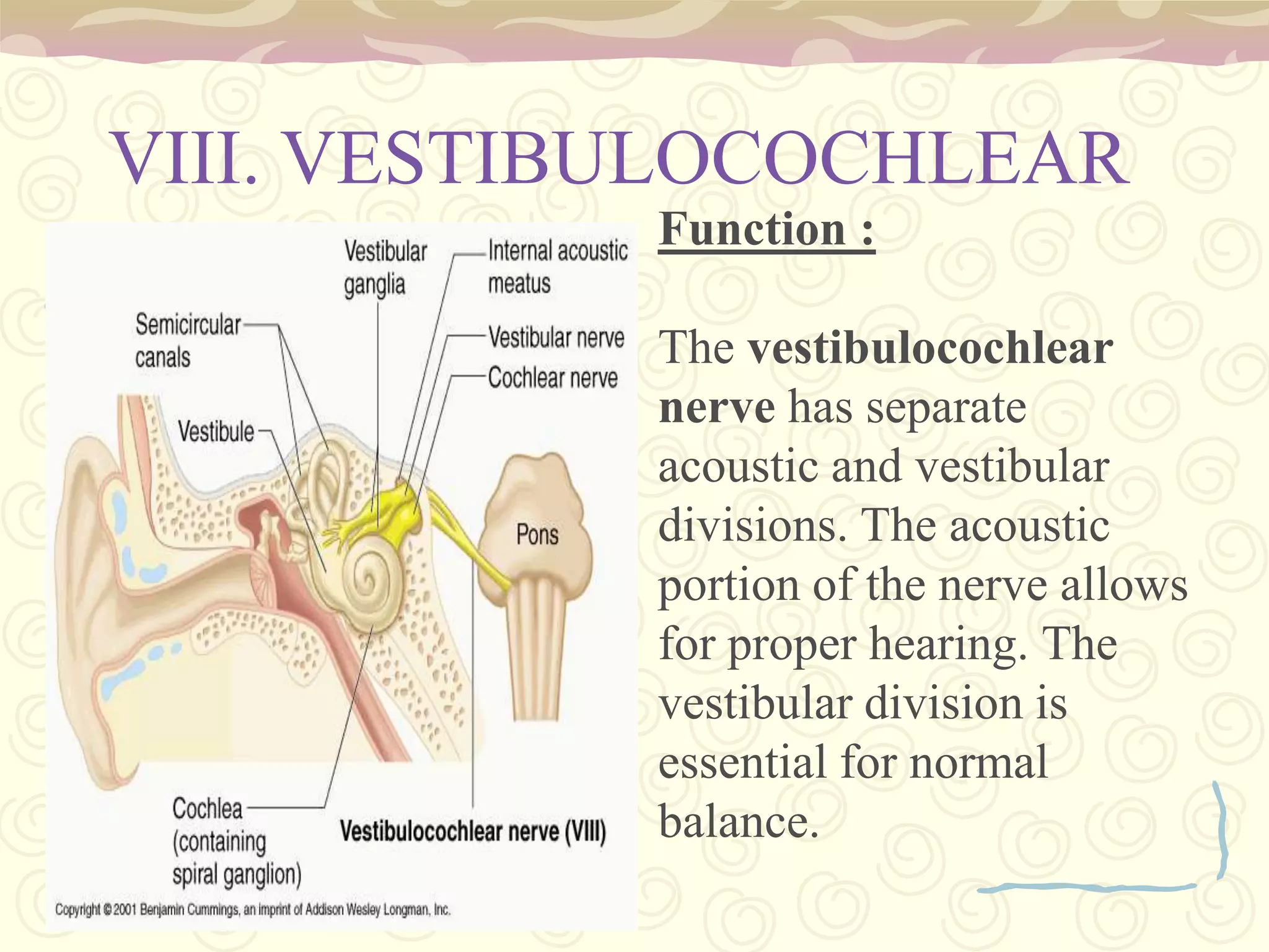 responsible for regulating homeostatic metabolic processes in the body. 