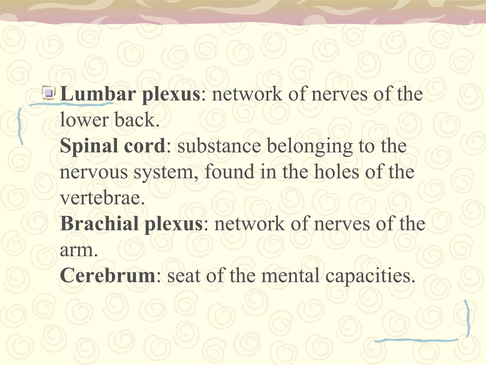Peripheral Nervous Systemmain function of the PNS is to connect the central nervous system (CNS) to the limbs and organs.