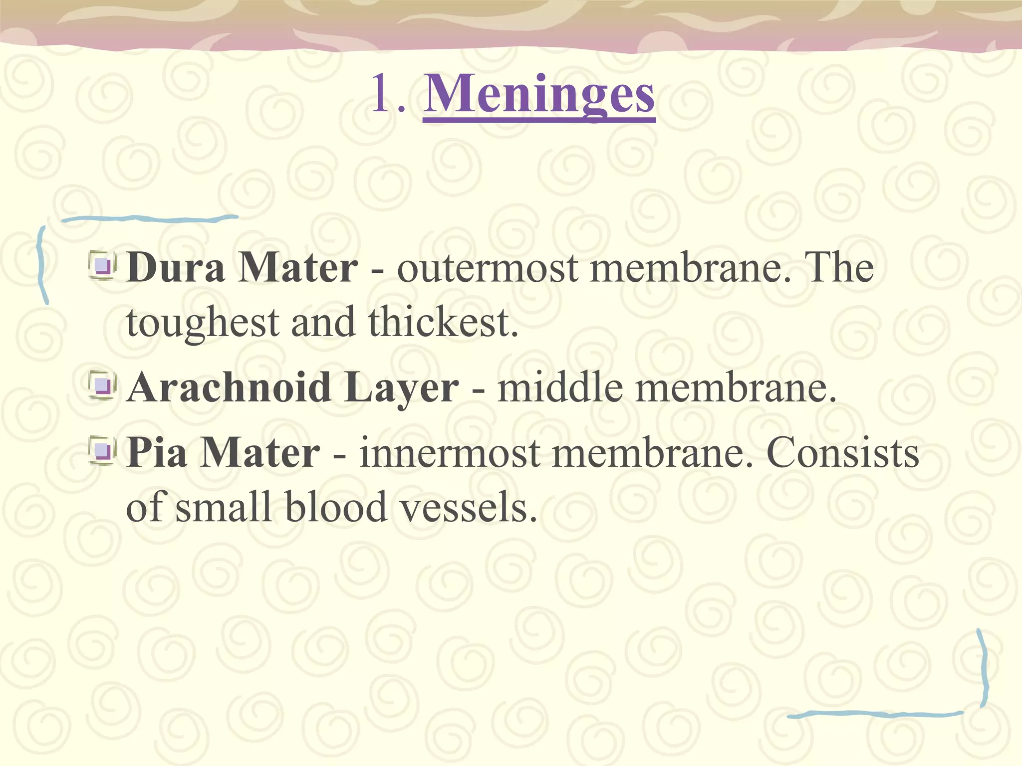 1. MeningesDura Mater - outermost membrane. The toughest and thickest.Arachnoid Layer - middle membrane.Pia Mater - innermost membrane. Consists of small blood vessels.