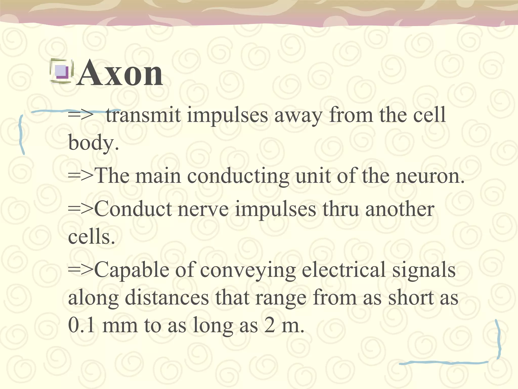 VIII. VESTIBULOCOCHLEARFunction :The vestibulocochlear nerve has separate acoustic and vestibular divisions. The acoustic portion of the nerve allows for proper hearing. The vestibular division is essential for normal balance.