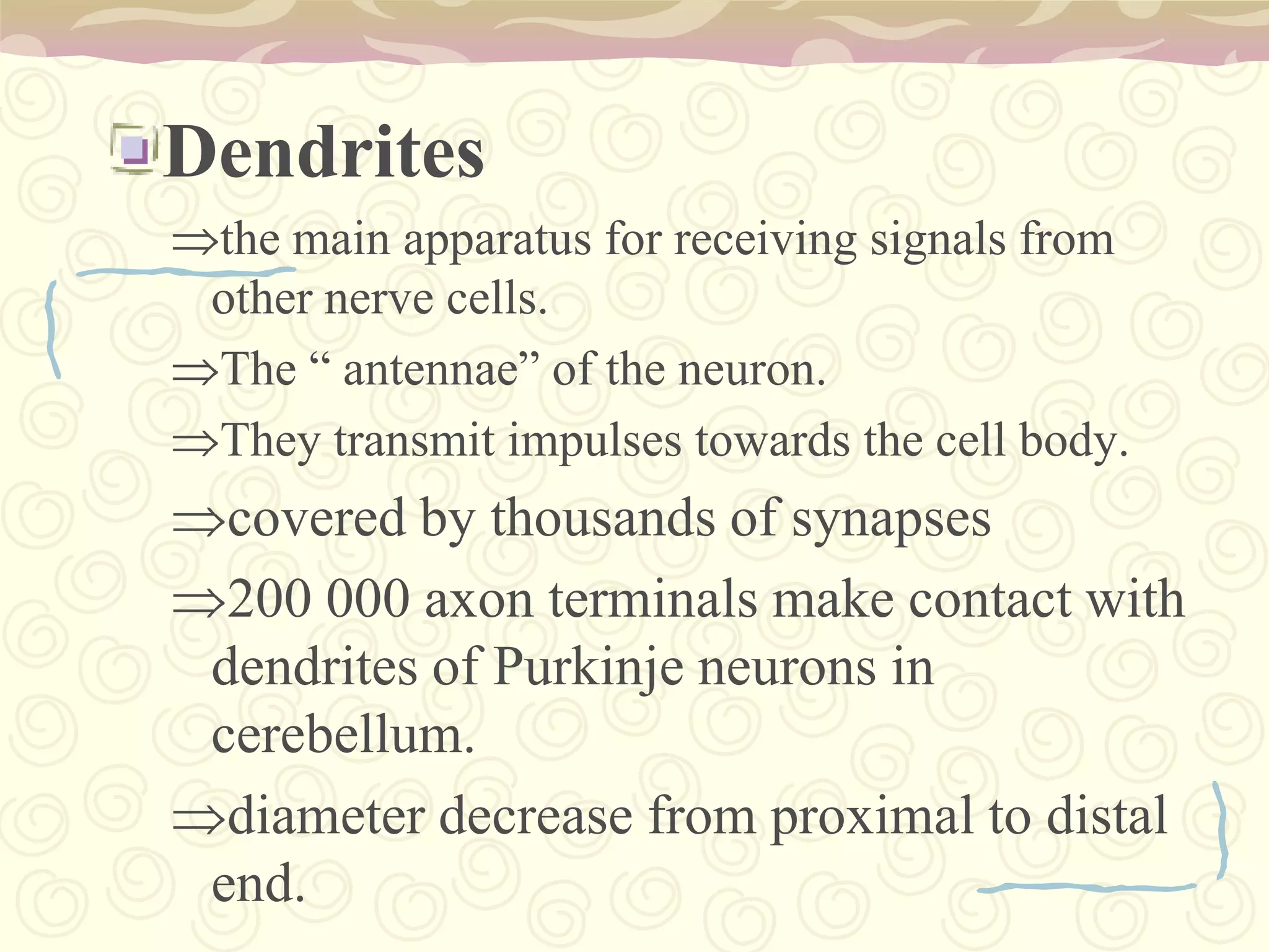 IX. GLOSSOPHARYNGEALThe glossopharyngeal nerve allows for taste on the back portion of the tongue, provides the sensations of pain and touch from the tongue and tonsils, and participates in the control of muscles used during swallowing