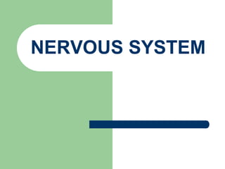 NERVOUS SYSTEM
 
