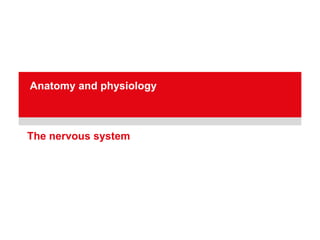 Comprehensive Overview of the Human Nervous System: Structure and ...