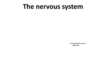 The nervous system
Dr:mawliid Mohamed jama
MBBS, MPH
 