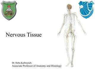 Nervous Tissue
Dr. Heba Kalbouneh
Associate Professor of Anatomy and Histology
 