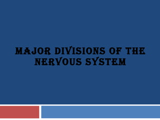 MAJOR DIVISIONS OF THE NERVOUS SYSTEM 
