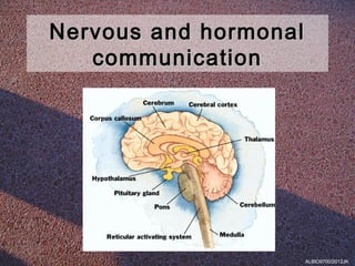 Nervous and hormonal
   communication




                       ALBIO9700/2012JK
 