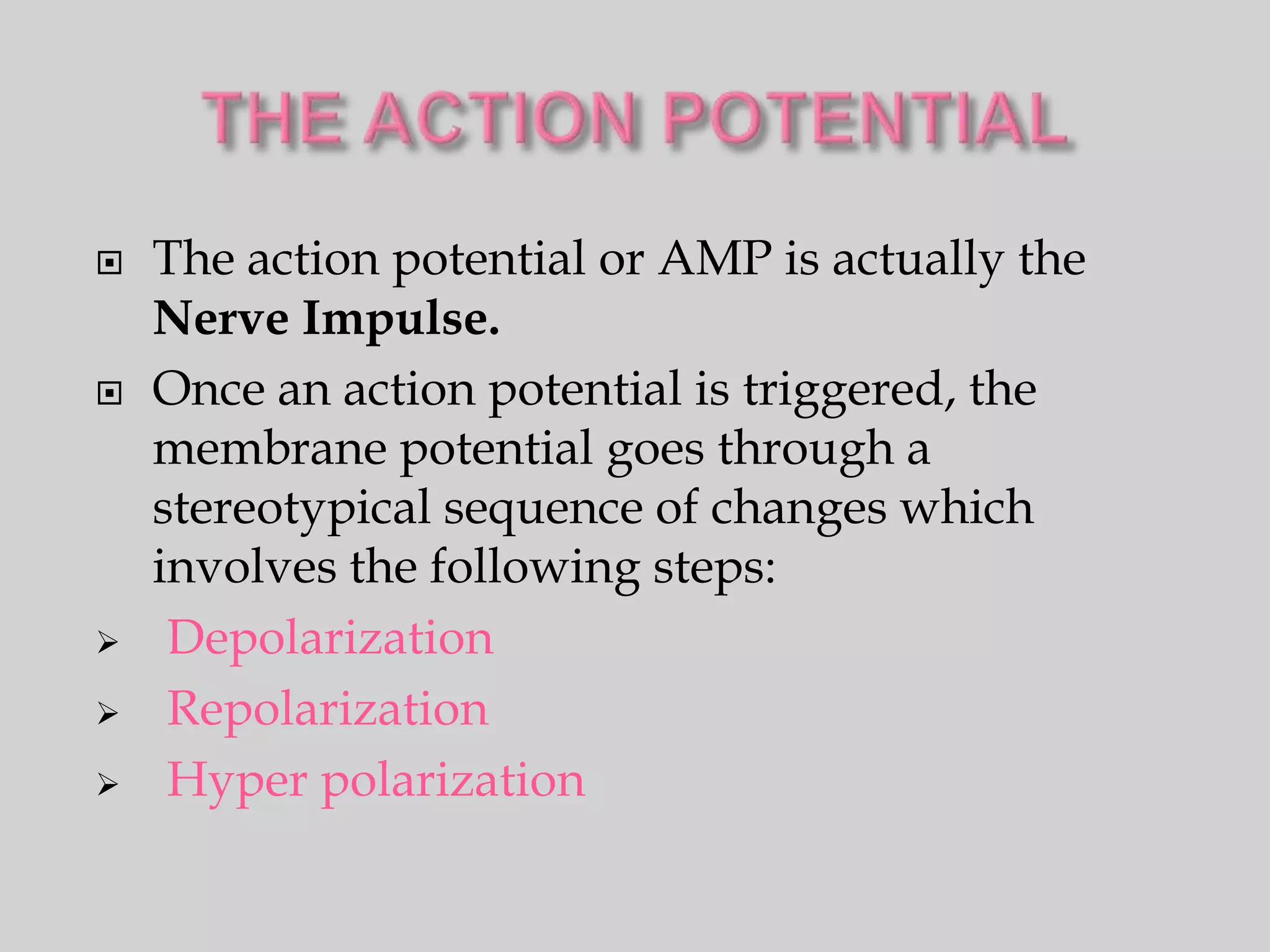    The action potential or AMP is actually the
    Nerve Impulse.
   Once an action potential is triggered, the
    membrane potential goes through a
    stereotypical sequence of changes which
    involves the following steps:
    Depolarization
    Repolarization
    Hyper polarization
 