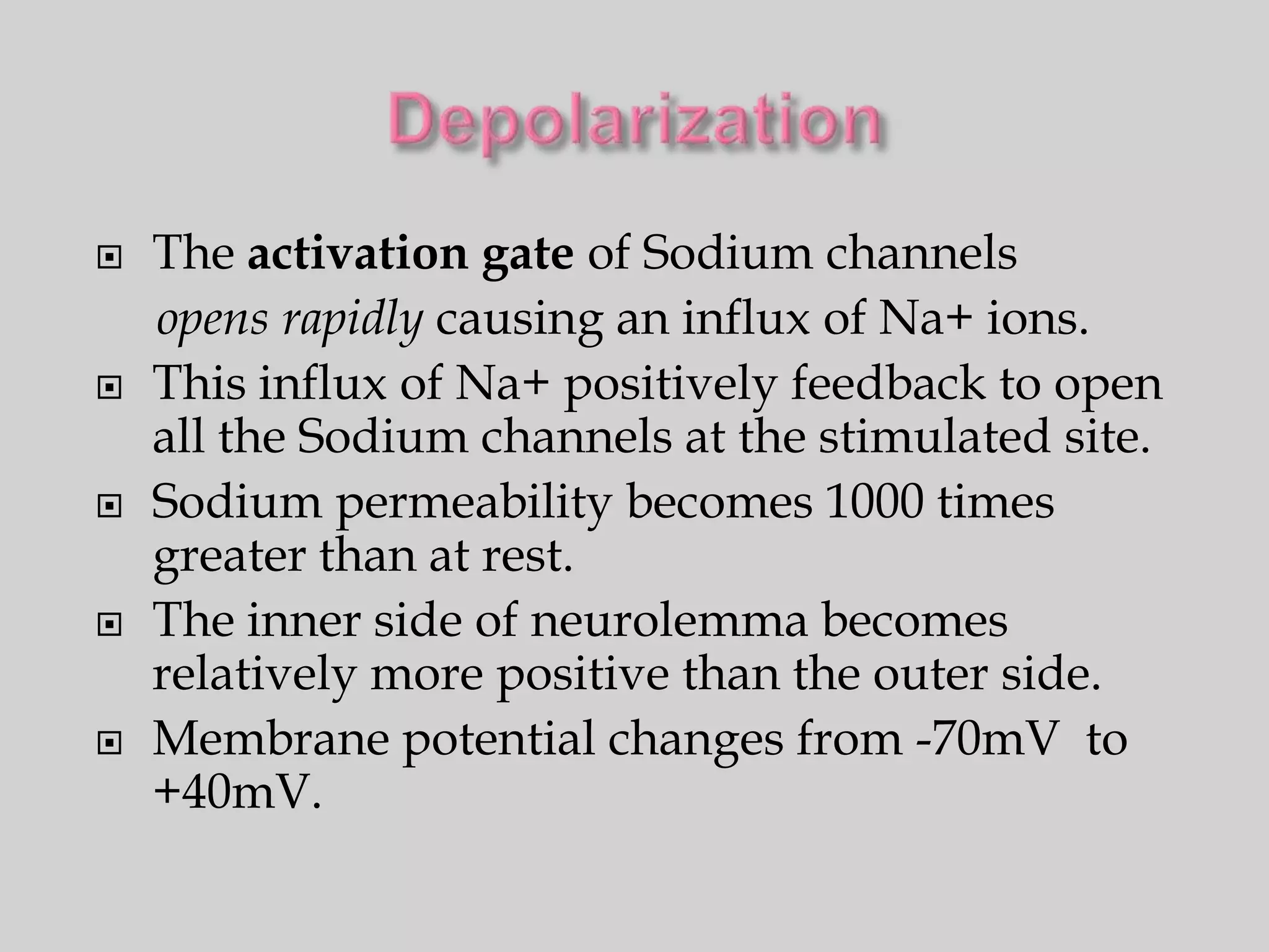    The activation gate of Sodium channels
    opens rapidly causing an influx of Na+ ions.
   This influx of Na+ positively feedback to open
    all the Sodium channels at the stimulated site.
   Sodium permeability becomes 1000 times
    greater than at rest.
   The inner side of neurolemma becomes
    relatively more positive than the outer side.
   Membrane potential changes from -70mV to
    +40mV.
 