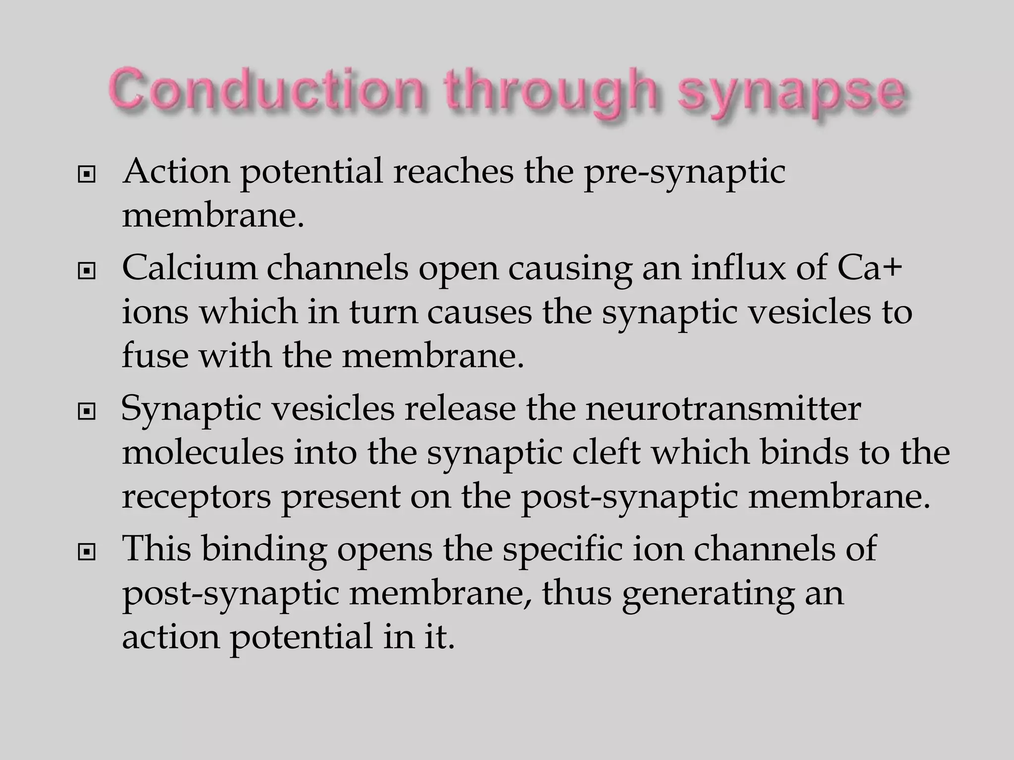    Action potential reaches the pre-synaptic
    membrane.
   Calcium channels open causing an influx of Ca+
    ions which in turn causes the synaptic vesicles to
    fuse with the membrane.
   Synaptic vesicles release the neurotransmitter
    molecules into the synaptic cleft which binds to the
    receptors present on the post-synaptic membrane.
   This binding opens the specific ion channels of
    post-synaptic membrane, thus generating an
    action potential in it.
 