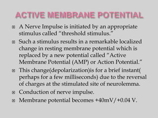    A Nerve Impulse is initiated by an appropriate
    stimulus called “threshold stimulus.”
   Such a stimulus results in a remarkable localized
    change in resting membrane potential which is
    replaced by a new potential called “Active
    Membrane Potential (AMP) or Action Potential.”
   This change(depolarization)is for a brief instant(
    perhaps for a few milliseconds) due to the reversal
    of charges at the stimulated site of neurolemma.
   Conduction of nerve impulse.
   Membrane potential becomes +40mV/+0.04 V.
 