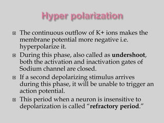    The continuous outflow of K+ ions makes the
    membrane potential more negative i.e.
    hyperpolarize it.
   During this phase, also called as undershoot,
    both the activation and inactivation gates of
    Sodium channel are closed.
   If a second depolarizing stimulus arrives
    during this phase, it will be unable to trigger an
    action potential.
   This period when a neuron is insensitive to
    depolarization is called “refractory period.”
 