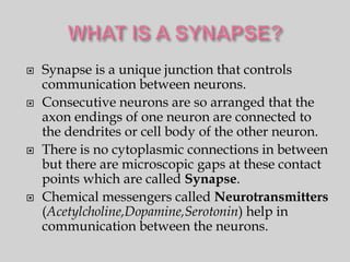    Synapse is a unique junction that controls
    communication between neurons.
   Consecutive neurons are so arranged that the
    axon endings of one neuron are connected to
    the dendrites or cell body of the other neuron.
   There is no cytoplasmic connections in between
    but there are microscopic gaps at these contact
    points which are called Synapse.
   Chemical messengers called Neurotransmitters
    (Acetylcholine,Dopamine,Serotonin) help in
    communication between the neurons.
 