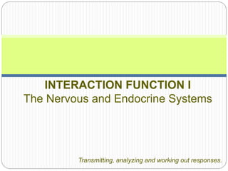INTERACTION FUNCTION I
The Nervous and Endocrine Systems
Transmitting, analyzing and working out responses.
 