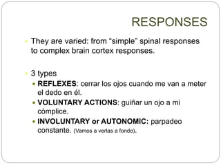  They are varied: from “simple” spinal responses
to complex brain cortex responses.
 3 types
 REFLEXES: cerrar los ojos cuando me van a meter
el dedo en él.
 VOLUNTARY ACTIONS: guiñar un ojo a mi
cómplice.
 INVOLUNTARY or AUTONOMIC: parpadeo
constante. (Vamos a verlas a fondo).
RESPONSES
 