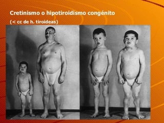 Nervous and endocrine systems.