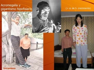 Nervous and endocrine systems.