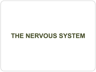 THE NERVOUS SYSTEM
 