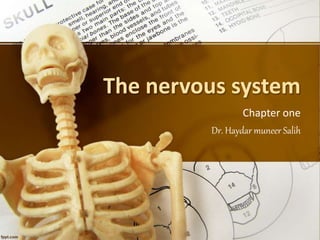 The nervous system
Chapter one
Dr. Haydar muneer Salih
 