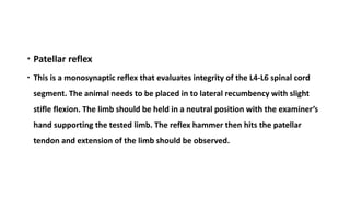 Nervous examination in small animal | PPTX