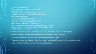 • THE NERVOUS SYSTEM
The nervous system is the most complex
body system !!
Constantly alive with electricity, the nervous
system is the body’s prime communication and
coordination network.
It is so vast and complex that, an
estimate is that all the individual nerves
from one body, joined end to end, could
reach around the world two and a half
times, where as the Brain and Spinal Cord are the Central
Nervous System. Nerves and Sensory Organs Make Up the
Peripheral Nervous System.
• Gether, the central nervous system (CNS) and the peripheral nervous systems (PNS)
• transmit and process sensory information and coordinate bodily functions.
• The brain and spinal cord (the CNS) function as the control center.
• They receive data and feedback from the sensory organs and from nerves throughout the body,
• process the information, and send commands back out
 