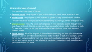 What are the types of nerves?
You have two main types of nerves:
• Sensory nerves carry signals to your brain to help you touch, taste, smell and see.
• Motor nerves carry signals to your muscles or glands to help you move and function.
You also have two main groups of nerves branching out from your brain and spinal cord:
• Cranial nerves: These 12 nerve pairs originate in your brain and extend through your
face, head and neck. Cranial nerves can have sensory functions, motor functions or both.
For example, cranial nerves help you make facial expressions, move your eyes and
process smells.
• Spinal nerves: You have 31 pairs of spinal nerves branching out from your spinal cord.
These nerves can provide sensory function, motor function or both. For example, spinal
nerves may carry sensations from your joints and muscles to your spinal cord. Spinal
nerves also control some of your reflexes or involuntary responses, such as pulling your
hand away from a hot stove
 