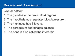 Review and Assessment
True or False?
1. The gyri divide the brain into 4 regions.
2. The hypothalamus regulates blood pressure.
3. The meninges has 3 layers.
4. The cerebellum coordinates balance.
5. The pons is also called the interbrain.

© Goodheart-Willcox Co., Inc.

Permission granted to reproduce for educational use

 