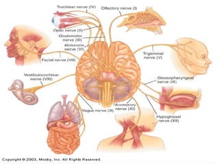© Goodheart-Willcox Co., Inc.

Permission granted to reproduce for educational use

 