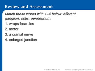 Review and Assessment
Match these words with 1–4 below: efferent,
ganglion, optic, perineurium.
1. wraps fascicles
2. motor
3. a cranial nerve
4. enlarged junction

© Goodheart-Willcox Co., Inc.

Permission granted to reproduce for educational use

 