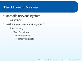 The Efferent Nerves
• somatic nervous system
– voluntary

• autonomic nervous system
– involuntary
• Two Divisions
– sympathetic
– parasympathetic

© Goodheart-Willcox Co., Inc.

Permission granted to reproduce for educational use

 