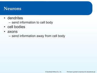Neurons
• dendrites
– send information to cell body

• cell bodies
• axons
– send information away from cell body

© Goodheart-Willcox Co., Inc.

Permission granted to reproduce for educational use

 