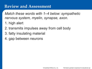 Review and Assessment
Match these words with 1–4 below: sympathetic
nervous system, myelin, synapse, axon.
1. high alert
2. transmits impulses away from cell body
3. fatty insulating material
4. gap between neurons

© Goodheart-Willcox Co., Inc.

Permission granted to reproduce for educational use

 