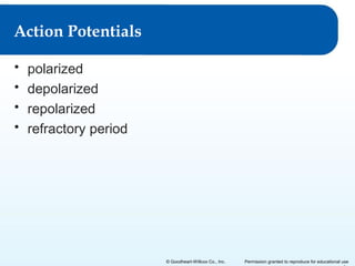 Action Potentials
•
•
•
•

polarized
depolarized
repolarized
refractory period

© Goodheart-Willcox Co., Inc.

Permission granted to reproduce for educational use

 