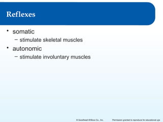 Reflexes
• somatic
– stimulate skeletal muscles

• autonomic
– stimulate involuntary muscles

© Goodheart-Willcox Co., Inc.

Permission granted to reproduce for educational use

 