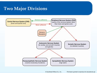 Two Major Divisions

© Goodheart-Willcox Co., Inc.

Permission granted to reproduce for educational use

 