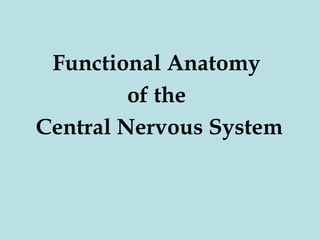 Functional Anatomy
of the
Central Nervous System

 