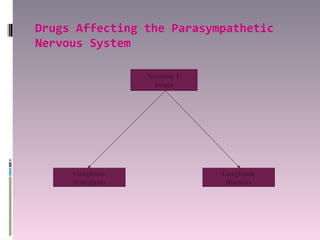 Drugs Affecting the Parasympathetic
Nervous System

                  Nicotinic I
                    Drugs




     Ganglionic                 Ganglionic
     Stimulants                  Blockers
 