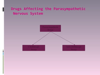 Drugs Affecting the Parasympathetic
 Nervous System


                      Parasympathetic
                           Drugs




        Cholinergic                     Anti-cholinergic
          Drugs                              Drugs
 