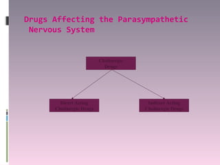 Drugs Affecting the Parasympathetic
 Nervous System


                          Cholinergic
                            Drugs




        Direct Acting                    Indirect Acting
      Cholinergic Drugs                 Cholinergic Drugs
 