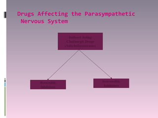 Drugs Affecting the Parasympathetic
 Nervous System

                     Indirect Acting
                    Cholinergic Drugs
                   (Anticholinesterases)




      Reversible                           Irreversible
      Inhibitors                            Inhibitors
 