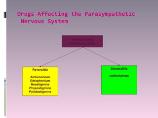 Drugs Affecting the Parasympathetic
 Nervous System

                     Indirect-Acting
                    Cholinergic Drug




     Reversible                        Irreversible

    Ambenonium                         Isoflurophate
    Edrophonium
    Neostigmine
   Physostigmine
   Pyridostigmine
 
