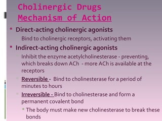 Cholinergic Drugs
  Mechanism of Action
 Direct-acting cholinergic agonists
   Bind to cholinergic receptors, activating them
 Indirect-acting cholinergic agonists
   Inhibit the enzyme acetylcholinesterase - preventing,
    which breaks down ACh - more ACh is available at the
    receptors
   Reversible - Bind to cholinesterase for a period of
    minutes to hours
   Irreversible - Bind to cholinesterase and form a
    permanent covalent bond
     The body must make new cholinesterase to break these
      bonds
 
