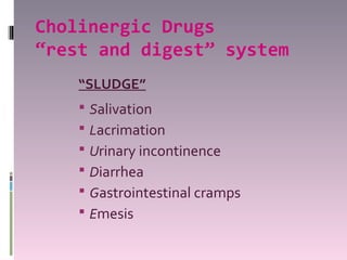 Cholinergic Drugs
“rest and digest” system
    “SLUDGE”
     Salivation
     Lacrimation
     Urinary incontinence
     Diarrhea
     Gastrointestinal cramps
     Emesis
 