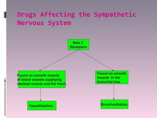 Drugs Affecting the Sympathetic
Nervous System

                                  Beta 2
                                 Receptors




                                             Found on smooth
Found on smooth muscle
                                             muscle in the
of blood vessels supplying
                                             bronchial tree.
skeletal muscle and the heart.




       Vasodilatation.                        Bronchodilation.
 