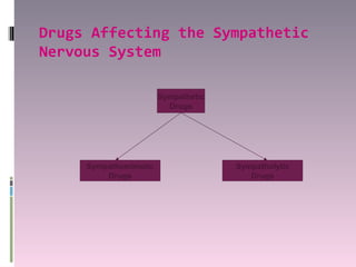 Drugs Affecting the Sympathetic
Nervous System

                       Sympathetic
                         Drugs




     Sympathomimetic                 Sympatholytic
         Drugs                          Drugs
 