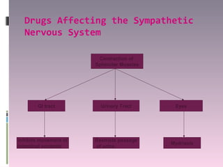 Drugs Affecting the Sympathetic
  Nervous System

                        Contraction of
                       Sphincter Muscles




        GI tract         Urinary Tract      Eyes




Inhibits movement of   Restricts passage
                                           Mydriasis
intestinal contents    of urine.
 
