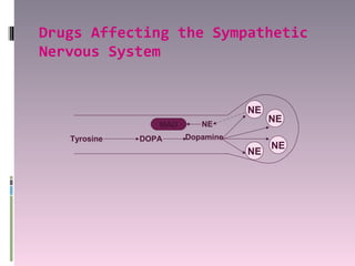 Drugs Affecting the Sympathetic
Nervous System


                                  NE
                          NE
                                       NE
                 MAO
   Tyrosine   DOPA     Dopamine
                                       NE
                                  NE
 