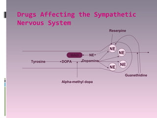 Drugs Affecting the Sympathetic
Nervous System
                                    Reserpine




                                    NE
                             NE
                                         NE
                  MAO
   Tyrosine   DOPA       Dopamine
                                         NE
                                    NE
                                              Guanethidine
              Alpha-methyl dopa
 