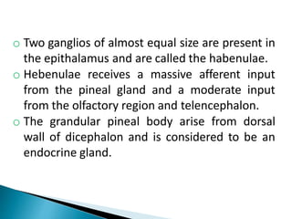 o Two ganglios of almost equal size are present in
the epithalamus and are called the habenulae.
o Hebenulae receives a massive afferent input
from the pineal gland and a moderate input
from the olfactory region and telencephalon.
o The grandular pineal body arise from dorsal
wall of dicephalon and is considered to be an
endocrine gland.
 
