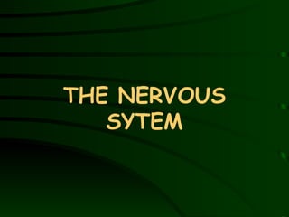 THE NERVOUS SYTEM 